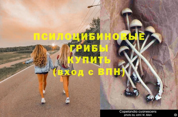гашик Арсеньев
