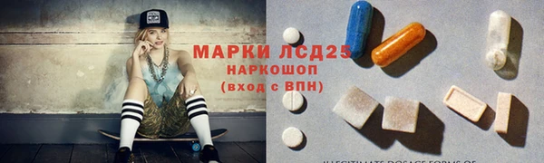 гашик Арсеньев