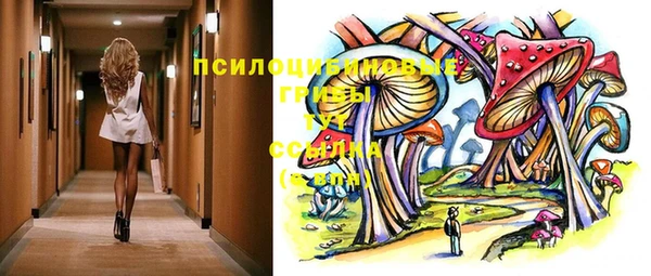 гашик Арсеньев