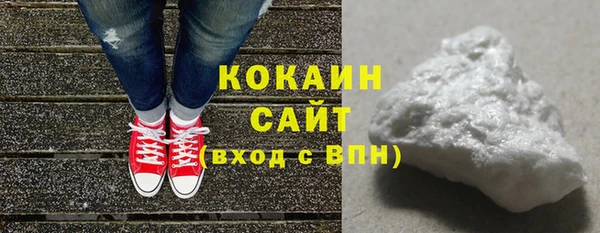 гашик Арсеньев