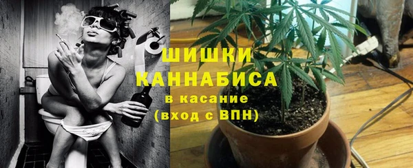 гашик Арсеньев