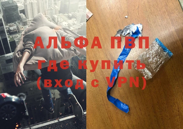 гашик Арсеньев