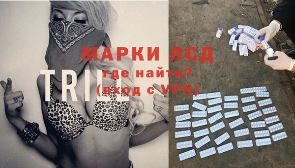 спайс Баксан