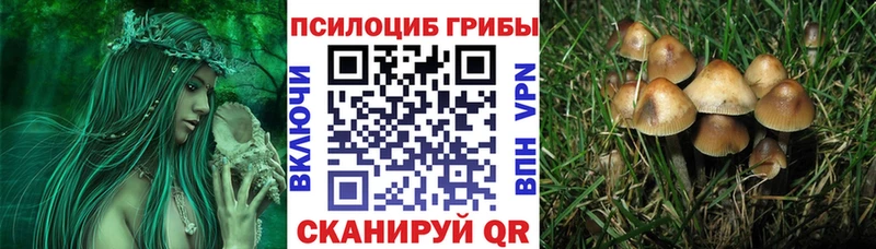 Галлюциногенные грибы MAGIC MUSHROOMS Красный Холм