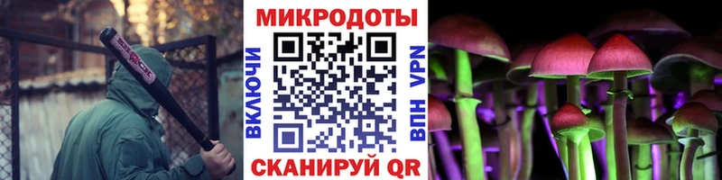 Псилоцибиновые грибы мицелий  Красный Холм 